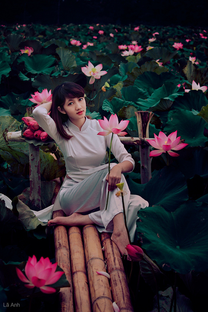 《年轻朋友的妻子》在线播放